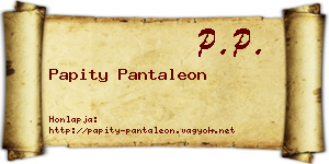 Papity Pantaleon névjegykártya
